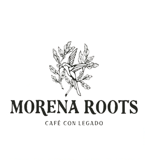 Morena Roots